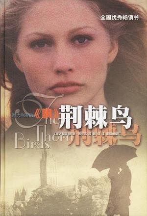 韩剧荆棘鸟在线观看,韩剧在线观看，情感纠葛中的爱与救赎